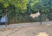 33m² cafeteria for sale in Jerez, Calle Doctor L. Romero Palomo photo