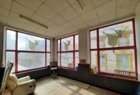 Foto 11