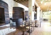 1466m² restaurant for sale in Sax, photo