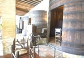 1466m² restaurant for sale in Sax, photo