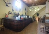 1466m² restaurant for sale in Sax, photo