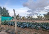 Nave en venta con 260m² en Aberin, Carretera Campo foto