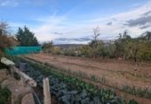Nave en venta con 260m² en Aberin, Carretera Campo foto