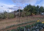 Nave en venta con 260m² en Aberin, Carretera Campo foto