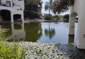 Local comercial en venta con 350m² en Nerja, Paseo Burriana foto