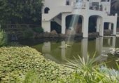 Local comercial en venta con 350m² en Nerja, Paseo Burriana foto