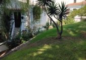 Local comercial en venta con 350m² en Nerja, Paseo Burriana foto