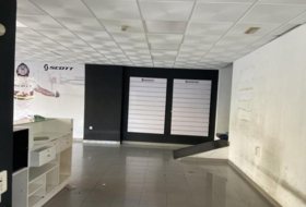 Foto 7