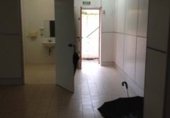 Local comercial
en lloguer
amb 2200m² a Jérez del Marquesado foto