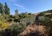 610m² entrepôt industriel pour vente à Mendaza, Calle Mayor photo