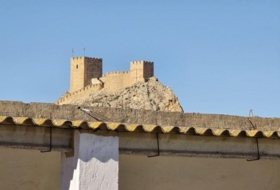 Foto 7