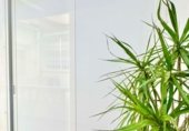 417m² locaux commerciaux pour vente à Torrevieja, Calle Patricio Pérez, 14 photo