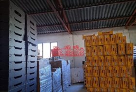 Foto 14