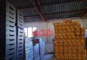 1200m² warehouse industrial for sale in Monforte del Cid, photo