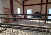 Nau Industrial
en venda
amb 543m² a La Unión, Calle Mina Buena Suerte foto