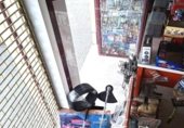 120m² commercial premises for sale in Cáceres, Calle de Túnez photo