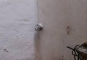 Local comercial
en venda
amb 147m² a Elx foto
