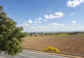899m² restaurant for sale in Pinos Puente, Vega de granada zona noroeste photo
