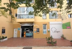 Foto 15