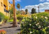 Cafetería en venta con 45m² en Arona, Calle Armiño foto
