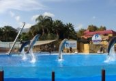 Local comercial
en venda
amb 169m² a Benalmádena, a la zona de Benalmádena Costa foto