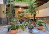 550m² restaurant for sale in Almuñécar, Avenida Europa photo