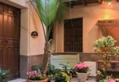 550m² restaurant for sale in Almuñécar, Avenida Europa photo