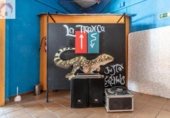 Restaurante en venta con 303m² en Bérchules, A-4130 foto