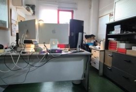 Foto 13