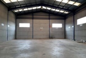 Foto 7