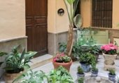 Edifici
en venda
amb 550m² a Almuñécar foto