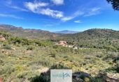 Edificio en venta con 4916m² en Aledo, MU-502 foto