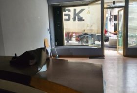 Foto 7