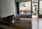 Local comercial en venta con 148m² en Vigo foto