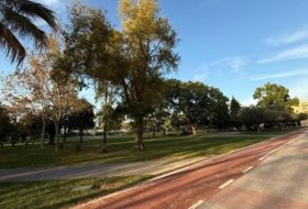 Foto 15
