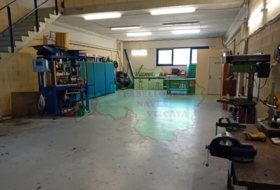 Foto 7
