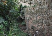 493m² building for sale in Roquetes, Carrer Sant Isidre photo