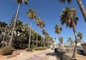 290m² locaux commerciaux pour vente à Marbella, photo