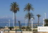 468m² building for sale in Málaga, photo