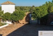 2000m² building for sale in Córdoba, photo
