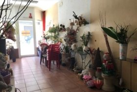 Foto 9