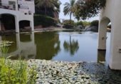 Local comercial en venta con 350m² en Nerja, Paseo Burriana foto