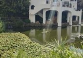 Local comercial en venta con 350m² en Nerja, Paseo Burriana foto