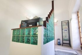Foto 8