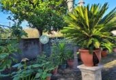 Hotel en venta con 1988m² en Valencia de Alcántara foto
