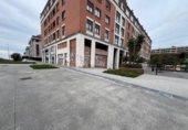 250m² locaux commerciaux pour vente à Lejona, photo
