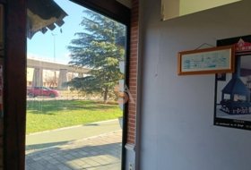 Foto 16