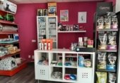 Local comercial
en lloguer
amb 50m² a San Luis de Sabinillas foto
