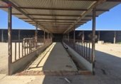 Nave Industrial en venta con 4000m² en Urda foto