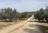 Edificio Industrial en venta con 156m² en Antequera, diseminado poligono 169, 29, 29540 foto